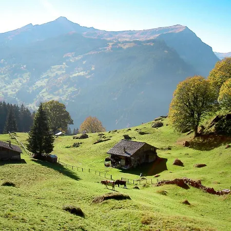 Abendrot Apartments-21 By Interhome * Grindelwald