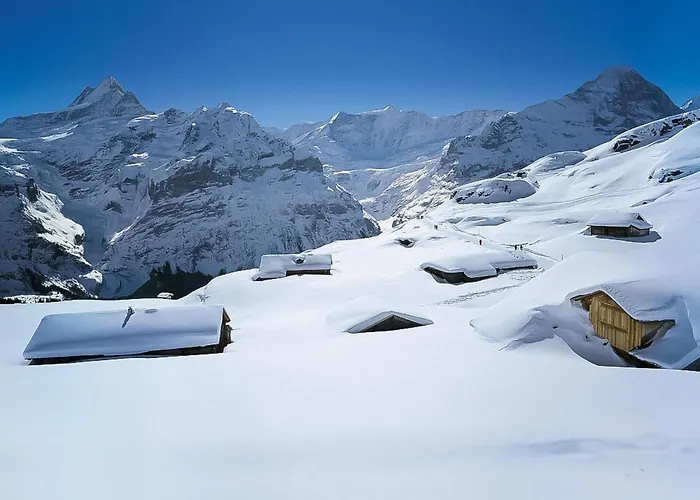 Abendrot Apartments-21 By Interhome Appartement Grindelwald