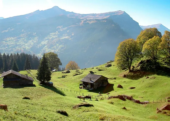 Abendrot Apartments-21 By Interhome * Grindelwald